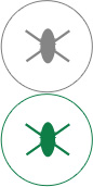 js金沙高效抗菌