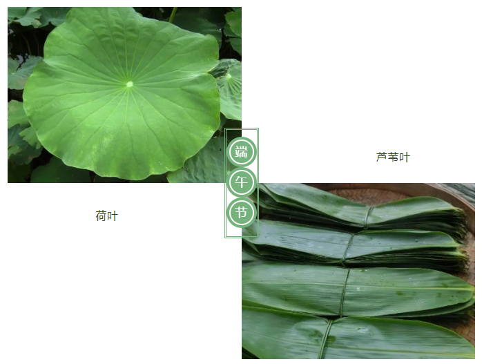 js金沙医纺