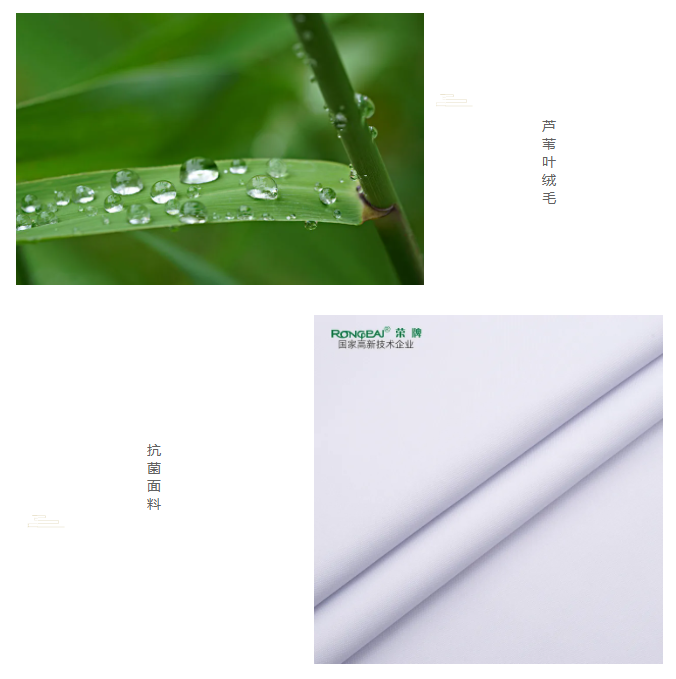 js金沙医纺