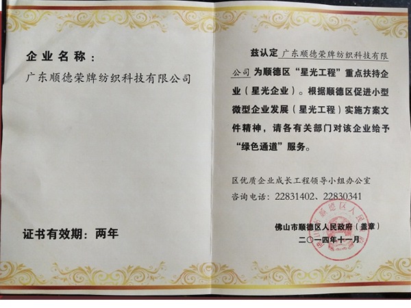 js金沙荣获政府重点扶持企业